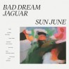 BAD DREAM JAGUAR