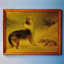 THE RESCUE