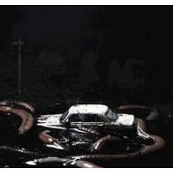 PRETTY IN THE DARK