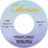 PRIVATE SPACE / SEA OF LOVE
