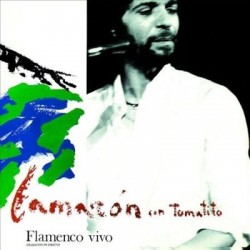 FLAMENCO VIVO