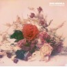 UN GRAN PRESENTIMIENTO