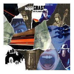THE STRANGE ONES 1994-2008