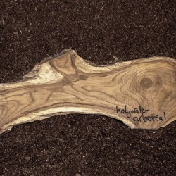 ARBOREAL