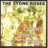 TURNS INTO STONE