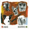 BARRO