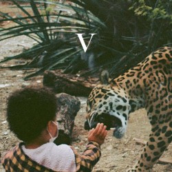"V"