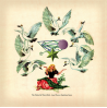 THE FALLEN BY WATCH BIRD (EXPANDED EDITION)