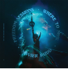FREEDOM SESSIONS - WHERE TO NOW