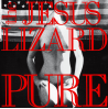PURE