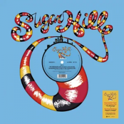 RAPPER'S DELIGHT DUB / THE...