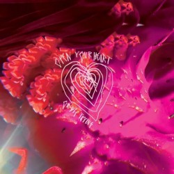 OPEN YOUR HEART OR DIE TRYING