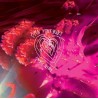 OPEN YOUR HEART OR DIE TRYING