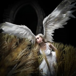 I'AM DIGITAL, I'AM DIVINE