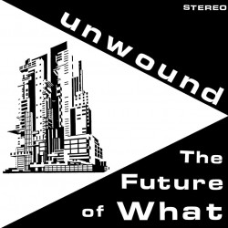 THE FUTURE OF WHAT