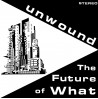 THE FUTURE OF WHAT