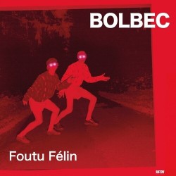 FOUTU FELIN