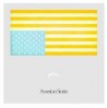 AMERICAN STORIES