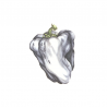 WHITE PEPPER