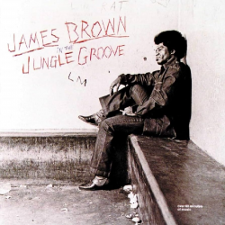 IN THE JUNGLE GROOVE