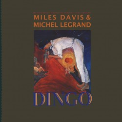 DINGO