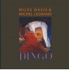 DINGO