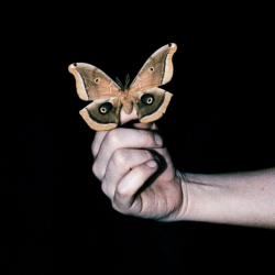 ALL SYSTEMS ARE LYING