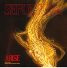 ARISE: ROUGH MIXES