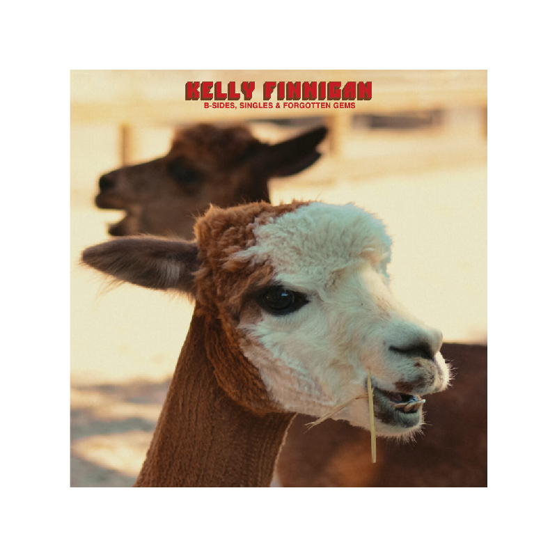 B-SIDES, SINGLES & FORGOTTEN GEMS