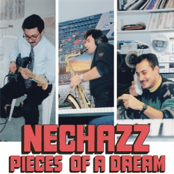 PIECES OF A DREAM