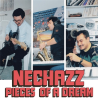 PIECES OF A DREAM