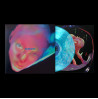 DOPAMINE CHAMBER
