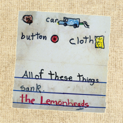CAR BUTTON CLOTH
