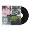 STRAY DOGS