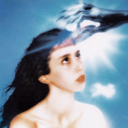 IMAGINAL DISK