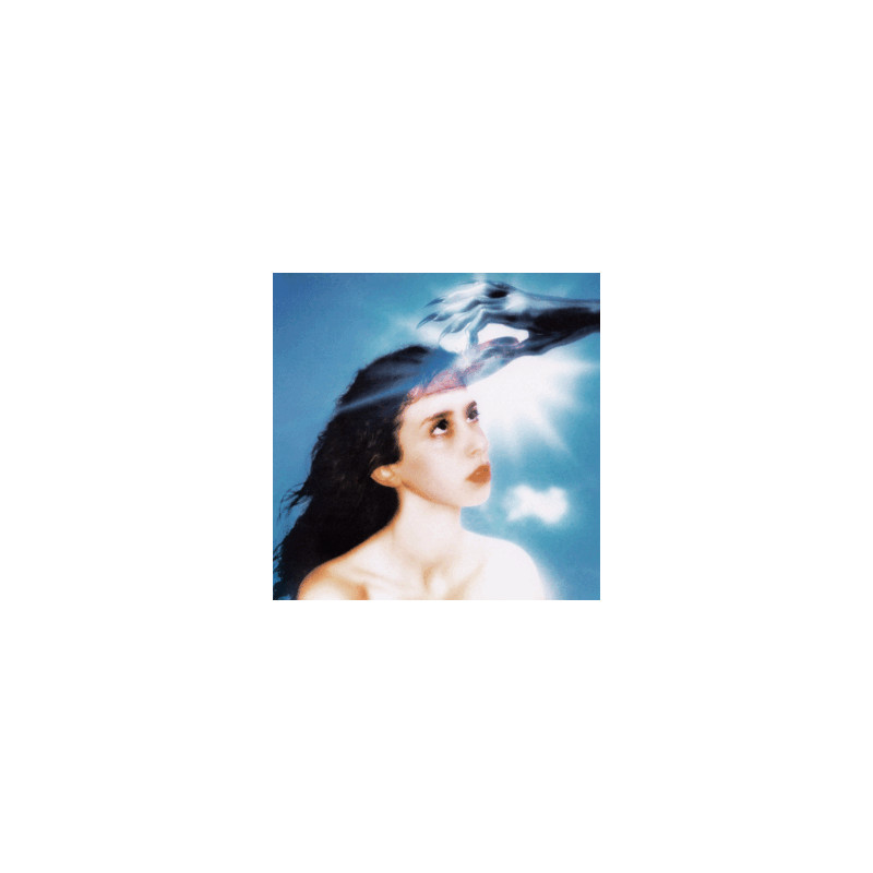 IMAGINAL DISK