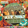 WOODSTOCK EXPERIENCE