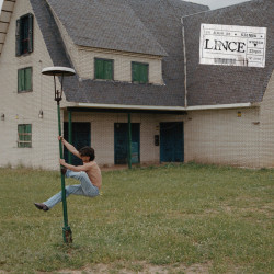 LINCE