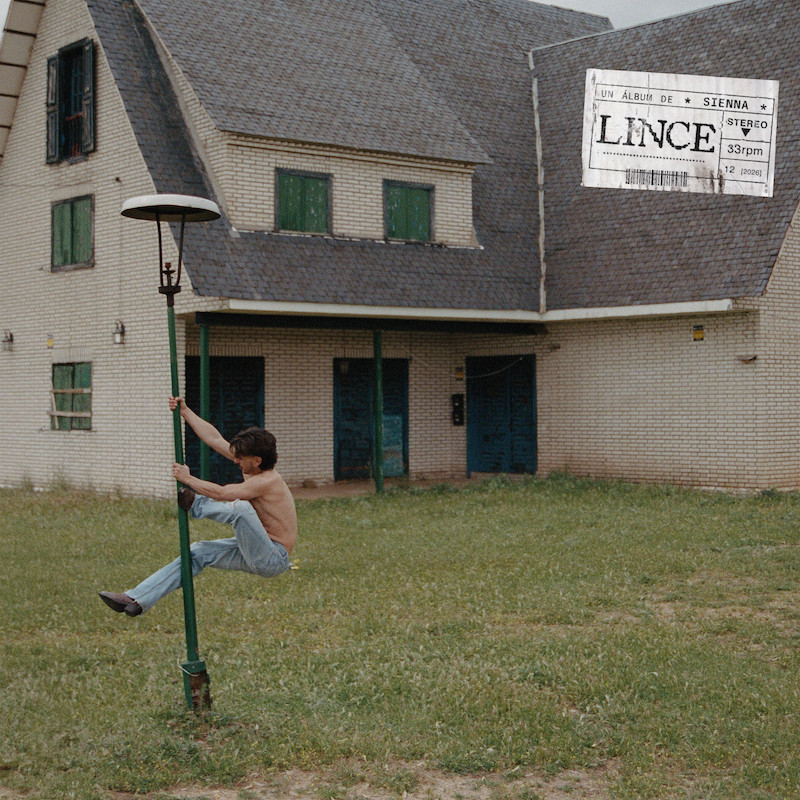 LINCE