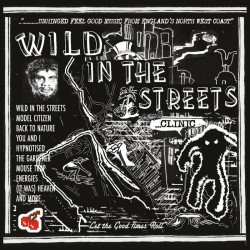 WILD IN THE STREETS