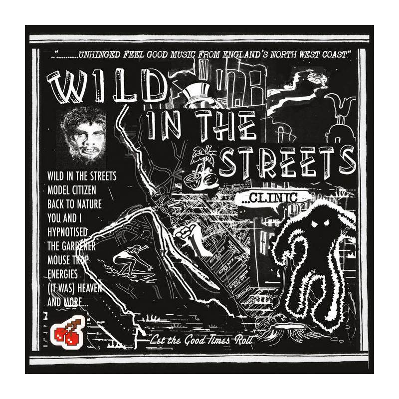 WILD IN THE STREETS