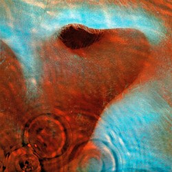 MEDDLE