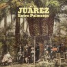 ENTRE PALMERAS
