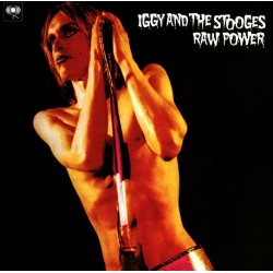 RAW POWER