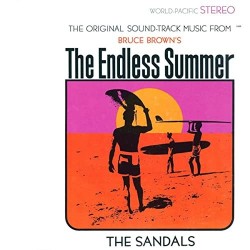 THE ENDLESS SUMMER