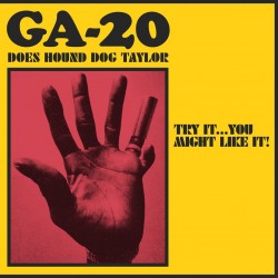 DOES HOUND DOG TAYLOR: TRY...
