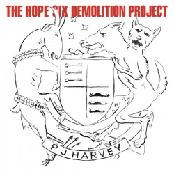THE HOPE SIX DEMOLITION...