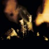 RIOT ACT