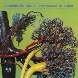 HARNESSED TO FLESH