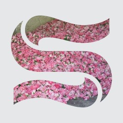 STEP BY STEP EP